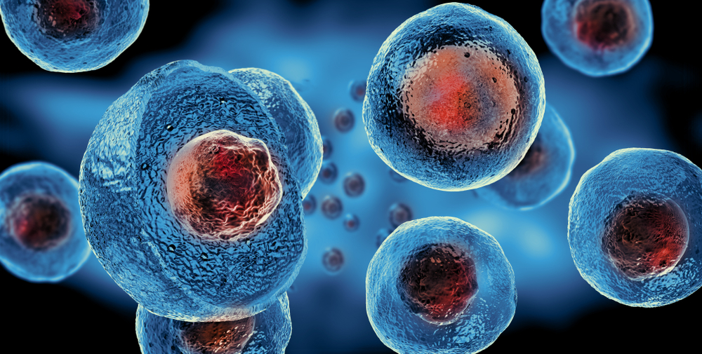 клеточная терапия - эмбрионные стволовые клетки