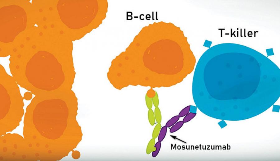 Мосунетузумаб - простая замена клеточной CAR-T терапии?