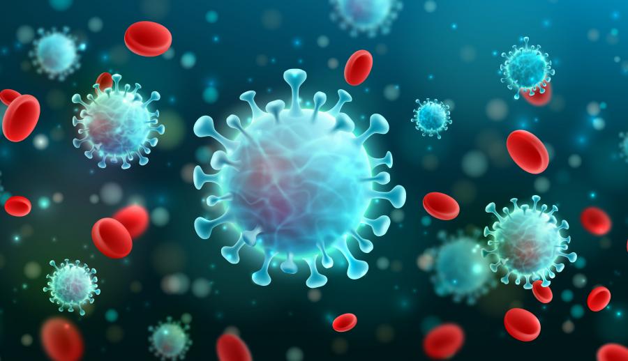 Болезнетворные клетки коронавируса и эритроциты
